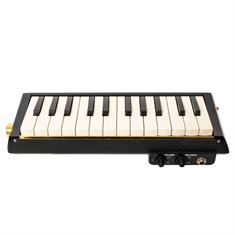 Hammond PRO-24B BAS Elektrisk Akustisk Melodica close