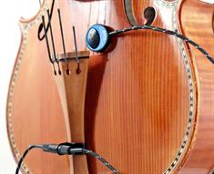 Schertler - DYN-V-P48 Mikrofon på en Violin.