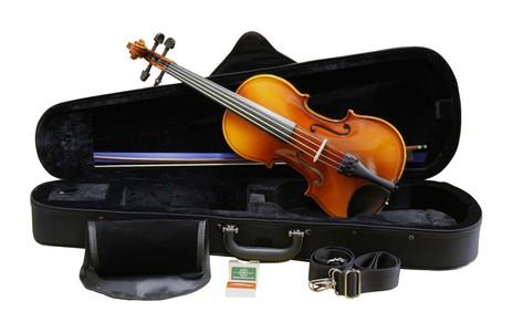 Suzuki Violin model 220-OF