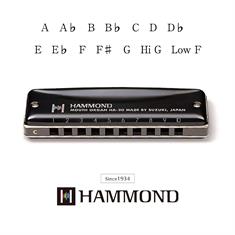 Suzuki Hammond HA-20 mundharmonika varianter